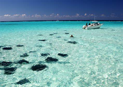 camayan island